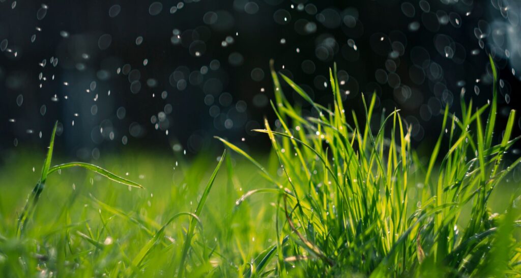 regen-op-gras
